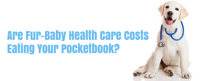Are Fur-Baby Health Care Costs Eating Your Pocketbook-
