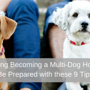 Considering Becoming a Multi-Dog Household- Be Prepared with these 9 Tips