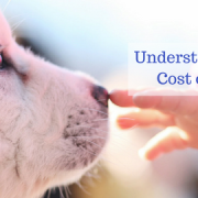 Pet Ownership Costs