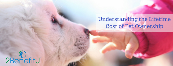 Pet Ownership Costs